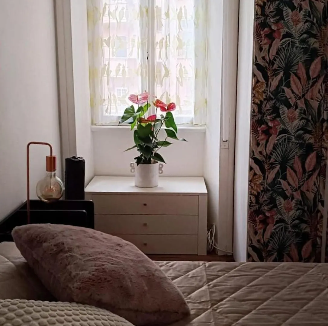 Apartment Rome